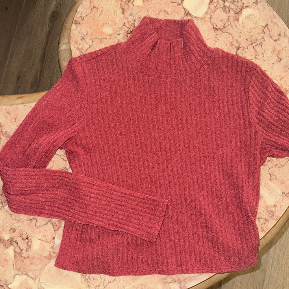 Aritzia Ribbed Crop Turtleneck Sweater in Deep Rose